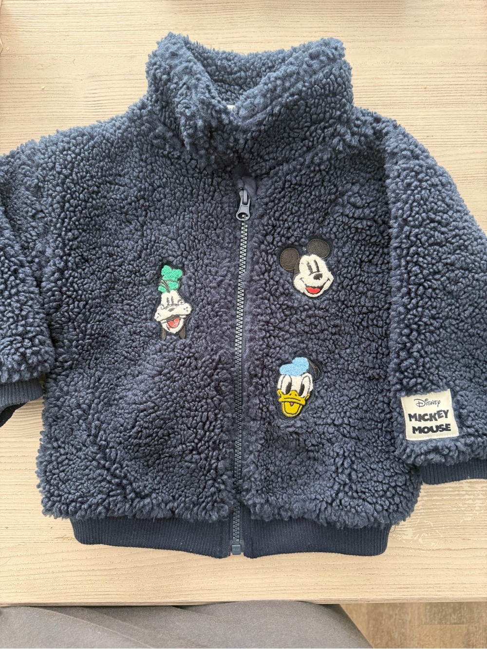 Toddler Disney Jacket